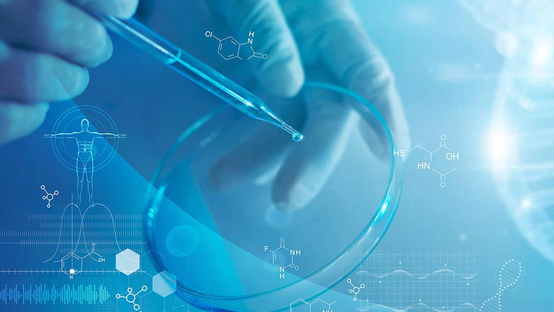Petri dish